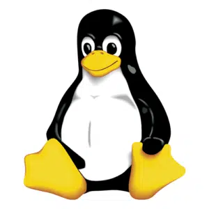 Mentenanta unui sistem de operare Linux
